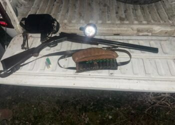 უკანონო ნადირობის 818 ფაქტი გამოვლინდა