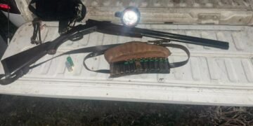 უკანონო ნადირობის 818 ფაქტი გამოვლინდა