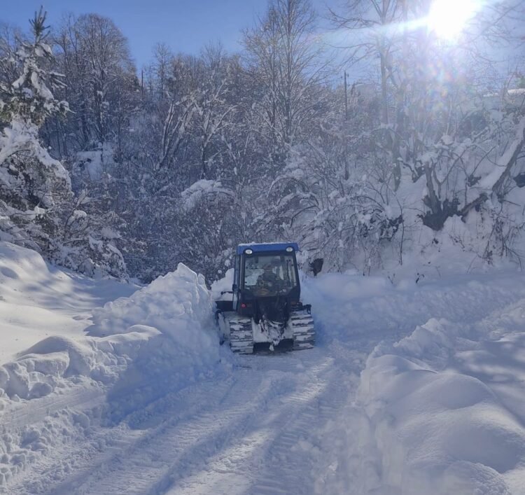 ამბროლაურის მუნიციპალიტეტის 2 სოფელს ელექტროენერგია არ მიეწოდება