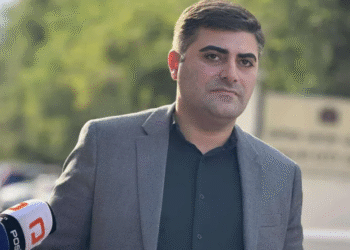 ” რატომ მალავენ საქმის მასალებს? გამოიტანონ სააშკარაოზე” – დემეტრე ჩიქოვანის ადვოკატი