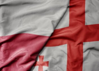 „დამთავრდა პოლონეთში დასაქმება საქართველოს მოქალაქეებისთვის – ემიგრანტების დიდი ნაწილი უკან დაბრუნდა“