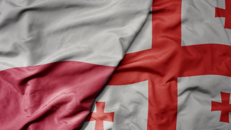 „დამთავრდა პოლონეთში დასაქმება საქართველოს მოქალაქეებისთვის – ემიგრანტების დიდი ნაწილი უკან დაბრუნდა“