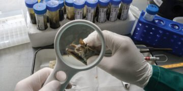 “საქართველოში შეისწავლეს ღამურები…იწყება როგორც ჩვეულებრივი გრიპი”- ივანე ჩხაიძე