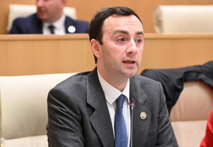 “არ გვინდა ურთიერთობების აღდგენა ყველაფრის ფასად” – ლევან მახაშვილი აშშ-ზე