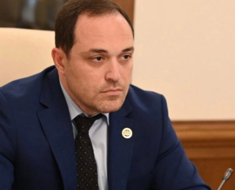 ღარიბაშვილი საკუთარ თავს იზიანებს-გიორგი გაბუნია