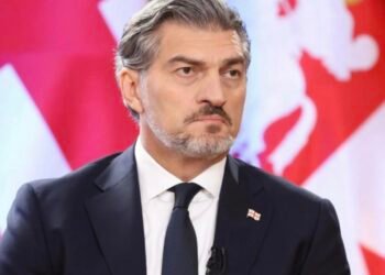 ეროვნული უსაფრთხოება არის ის საფუძველი, რომელზეც სახელმწიფოს სუვერენიტეტი, მშვიდობა და განვითარების შესაძლებლობები დგას-ყაველაშვილი