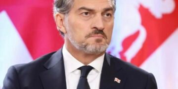 ეროვნული უსაფრთხოება არის ის საფუძველი, რომელზეც სახელმწიფოს სუვერენიტეტი, მშვიდობა და განვითარების შესაძლებლობები დგას-ყაველაშვილი