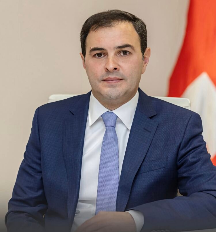 ვანო ზარდიაშვილი სახელმწიფო ელექტროსისტემიდან გაათავისუფლეს