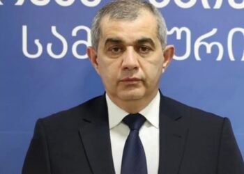 თანამდებობა შემოსავლების სამსახურის უფროსმაც, მიხეილ მაღლაკელიძემაც დატოვა