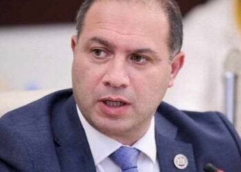 ვებრძვი უდიპლომო სასიძოს სინდრომს-გიორგი მიქანაძე