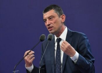 ოცნება საკონსტიტუციო სასამართლოს “გახარია საქართველოსთვის” აკრძალვისთვისაც მიმართავს