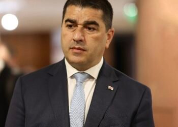 შალვა პაპუაშვილი ბრიუსელში გაემგზავრა
