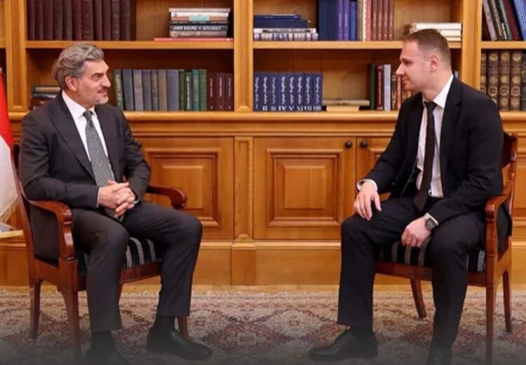 ყაველაშვილმა საკონსტიტუციო სასამართლოს მოსამართლედ გოგა კიკილაშვილი დანიშნა
