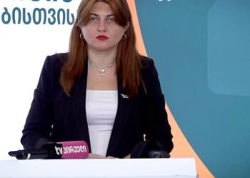 გრძელდება გიორგი დავითაძეზე ზეწოლა-მარიკა არევაძე