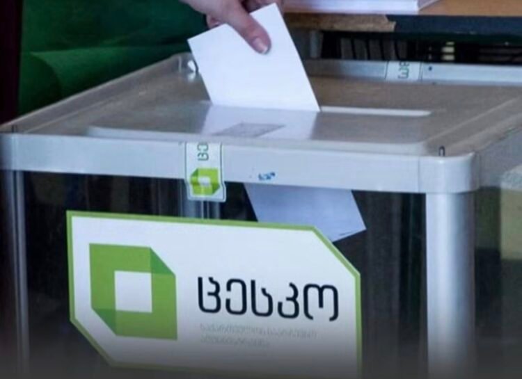 ვანის, წალკის, დმანისისა და ახმეტის მუნიციპალიტეტებში საკრებულოების შუალედური არჩევნები მიმდინარეობს